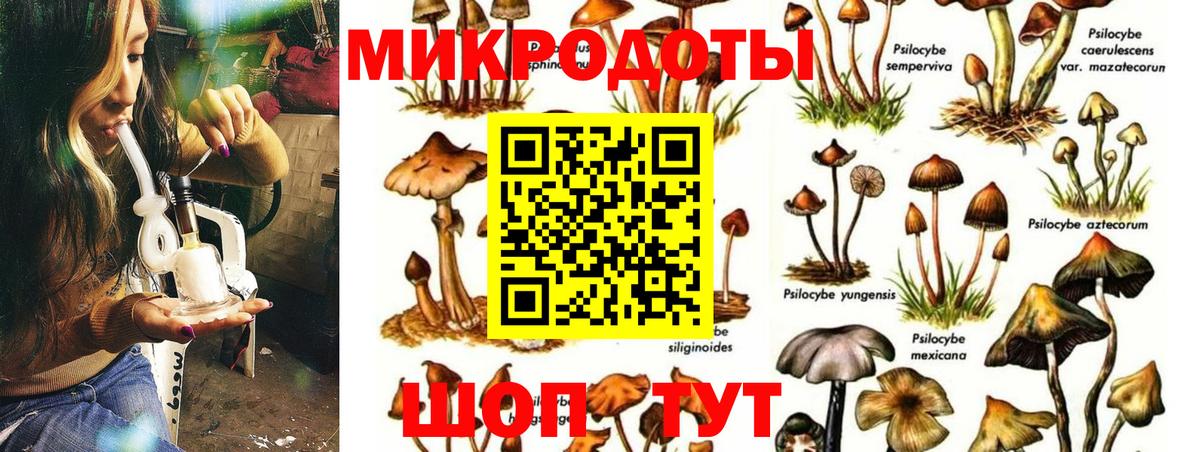 Галлюциногенные грибы Cubensis  даркнет сайт  Энгельс  Вход с VPN  Псилоцибиновые грибы мухоморы 